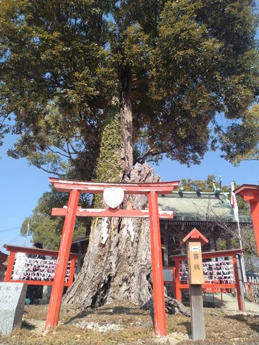 ��ɐA���Ă����

�Ⴂ���x�Ŏ����I�ɐ������ꂽ����