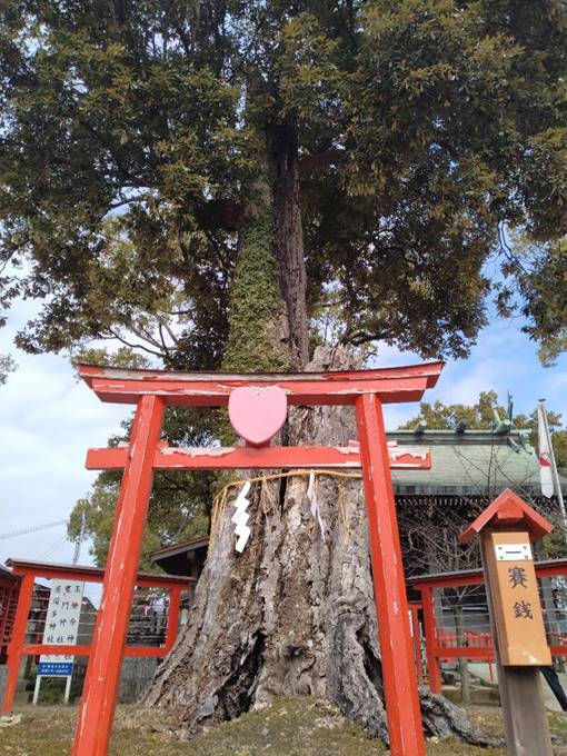 ���O, �ؐ�, ��, �x���` ���܂܂�Ă���摜

�����I�ɐ������ꂽ����