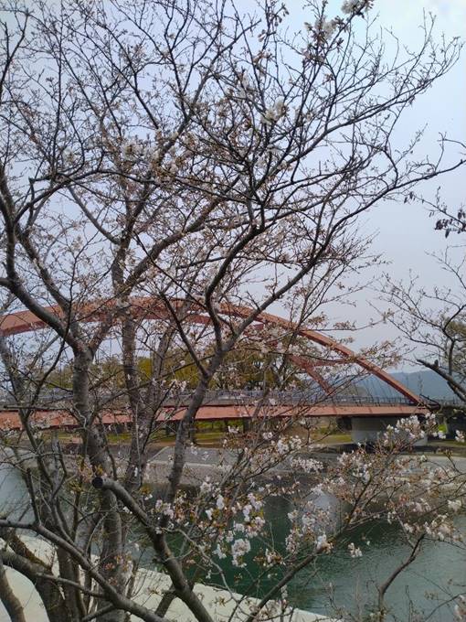 ���̉��̖�

�����x�̐��x�Ŏ����I�ɐ������ꂽ����