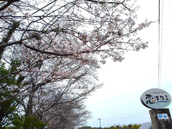 �΂̖؁X

�Ⴂ���x�Ŏ����I�ɐ������ꂽ����