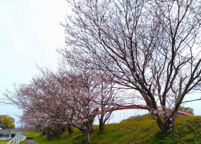 ���̏�ɂ����

�����I�ɐ������ꂽ����