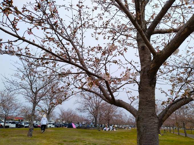 �����ɐA���Ă����

�����I�ɐ������ꂽ����