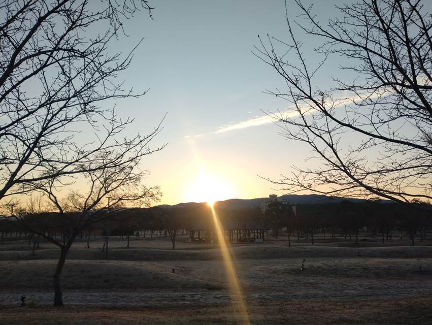 �[���Ɩ؁X

AI �����R���e���c�͌����܂މ\��������܂��B