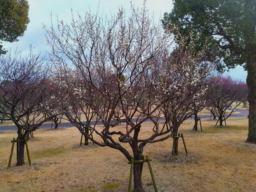 ���̏�ɂ����

AI �����R���e���c�͌����܂މ\��������܂��B