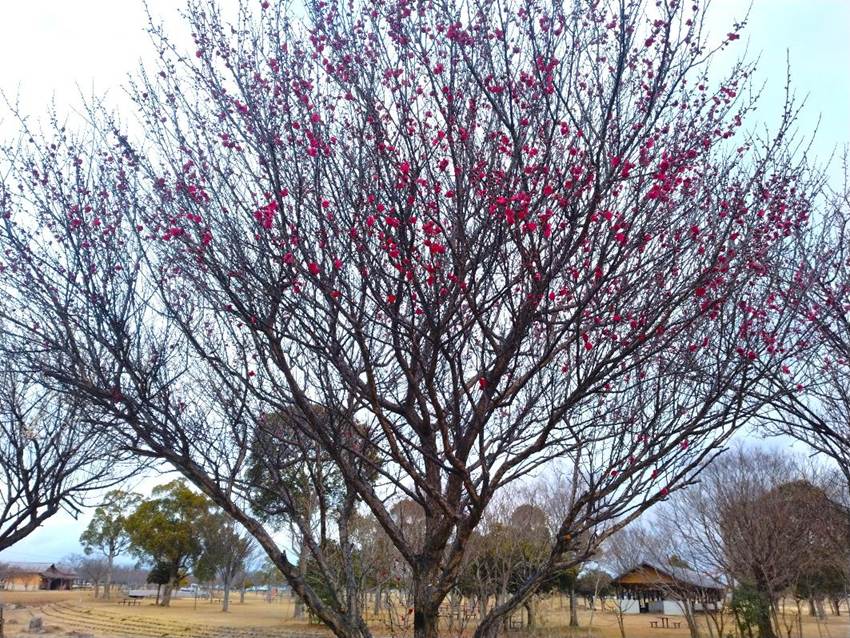 �Ⴊ�ς�������

AI �����R���e���c�͌����܂މ\��������܂��B