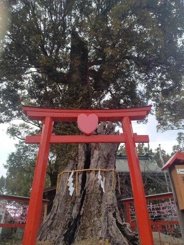 ���O, ��, �ؐ�, �傫�� ���܂܂�Ă���摜

AI �����R���e���c�͌����܂މ\��������܂��B